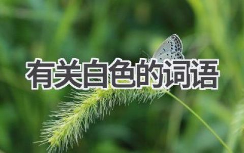 有关白色的词语