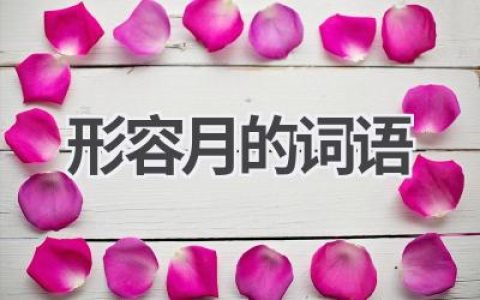 形容月的词语