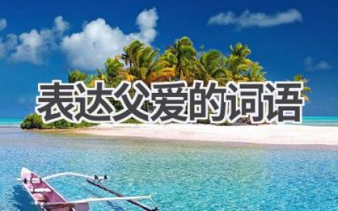 表达父爱的词语