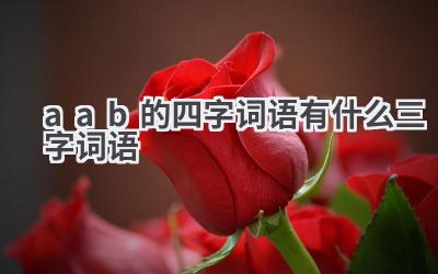 aab的四字词语有什么三字词语