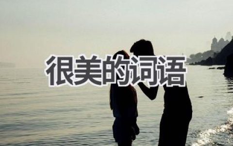 很美的词语