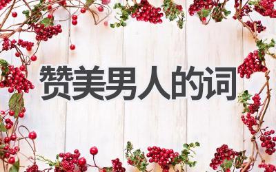 赞美男人的词