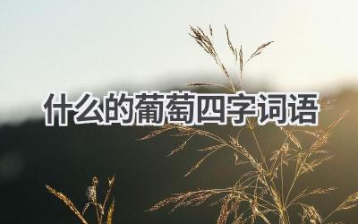 什么的葡萄四字词语