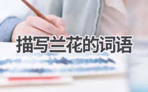 描写兰花的词语