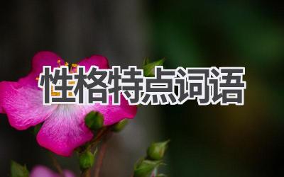 性格特点词语