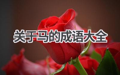 关于马的成语大全