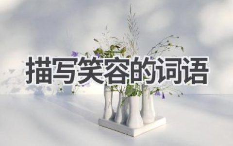 描写笑容的词语