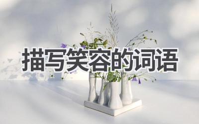 描写笑容的词语