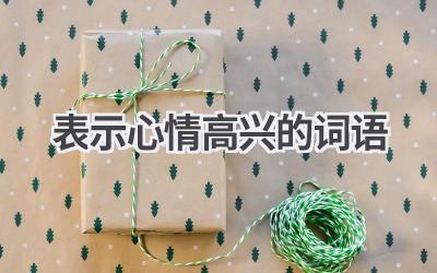 表示心情高兴的词语