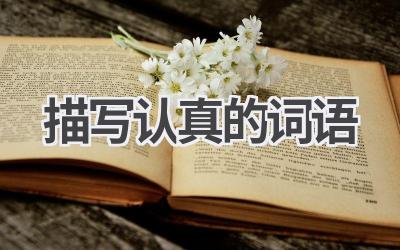 描写认真的词语