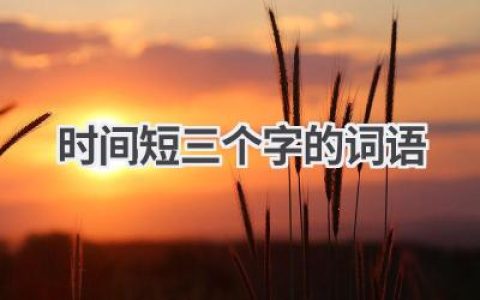 时间短三个字的词语