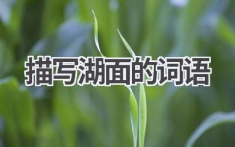 描写湖面的词语