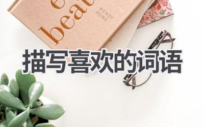描写喜欢的词语