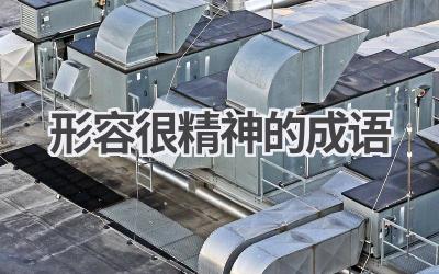 形容很精神的成语