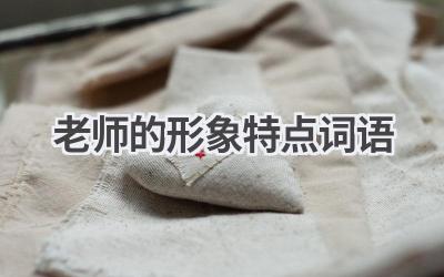 老师的形象特点词语