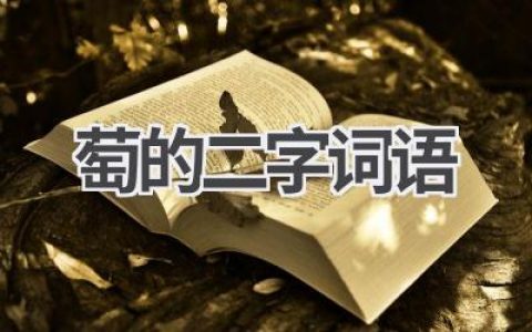 萄的二字词语
