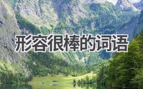 形容很棒的词语