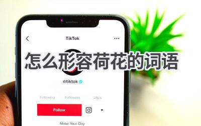 怎么形容荷花的词语