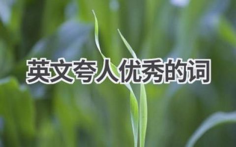 英文夸人优秀的词