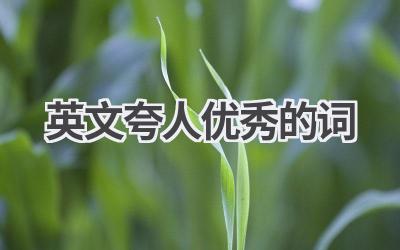 英文夸人优秀的词