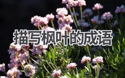 描写枫叶的成语