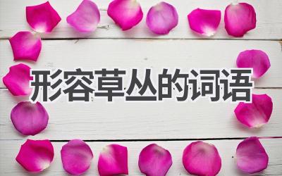 形容草丛的词语