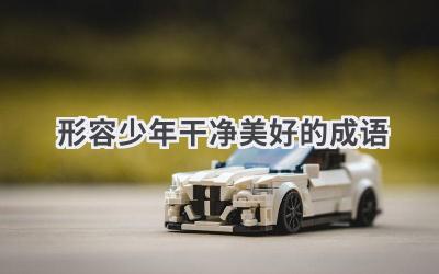 形容少年干净美好的成语