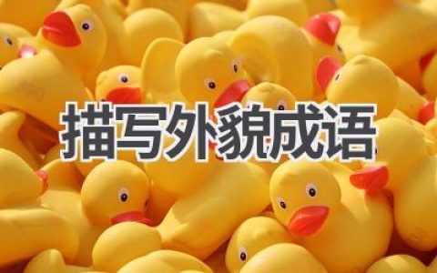 描写外貌成语