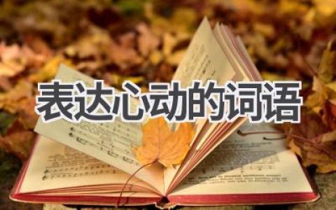 表达心动的词语