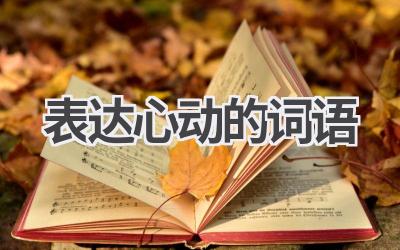 表达心动的词语