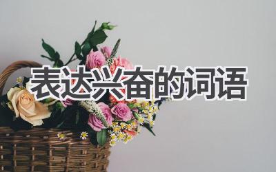 表达兴奋的词语