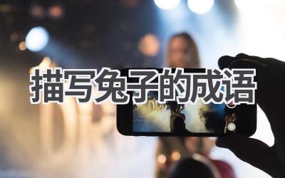 描写兔子的成语