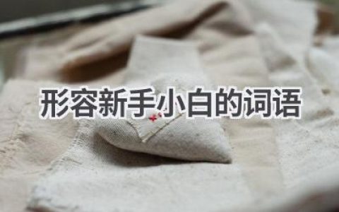 形容新手小白的词语