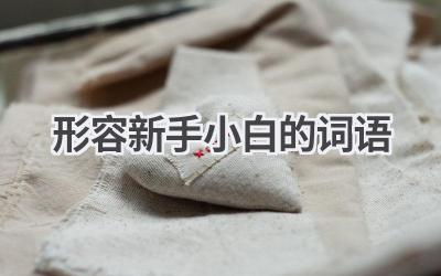 形容新手小白的词语