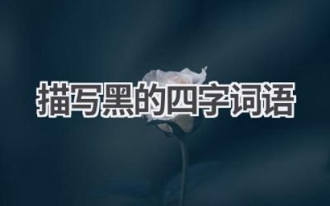 描写黑的四字词语