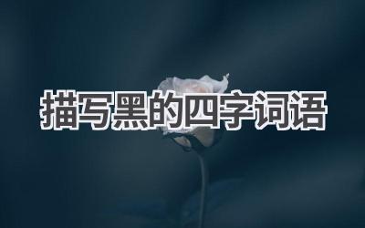 描写黑的四字词语