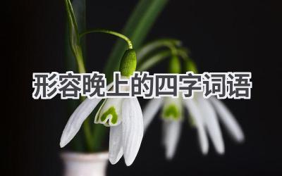 形容晚上的四字词语