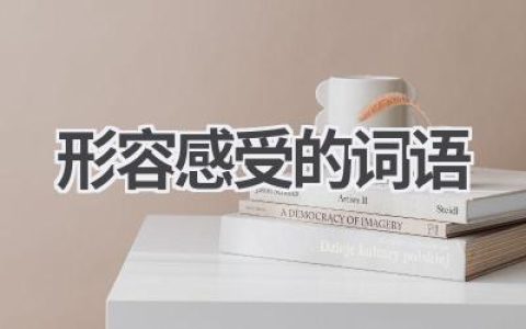 形容感受的词语
