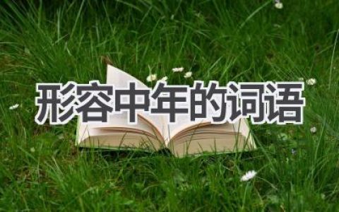 形容中年的词语