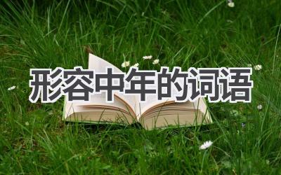 形容中年的词语