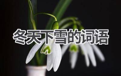 冬天下雪的词语