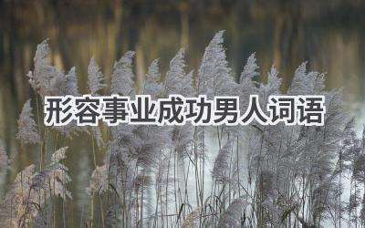 形容事业成功男人词语