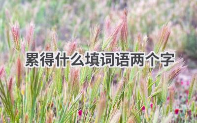 累得什么填词语两个字