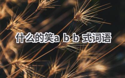 什么的笑abb式词语