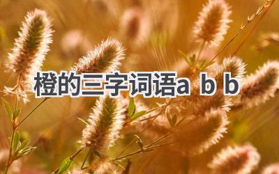 橙的三字词语abb