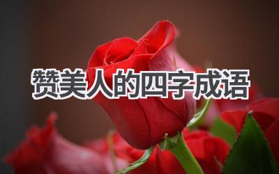 赞美人的四字成语