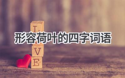 形容荷叶的四字词语