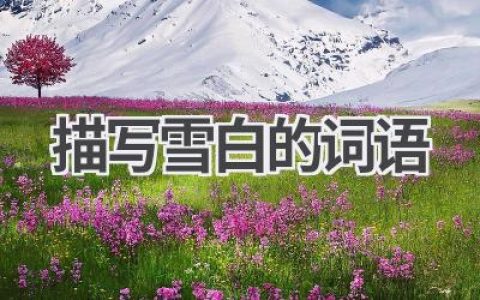 描写雪白的词语