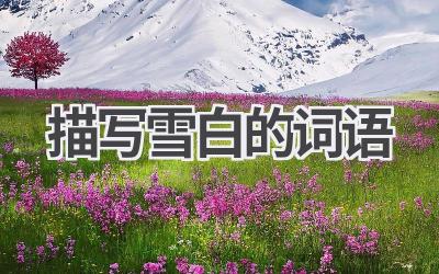 描写雪白的词语