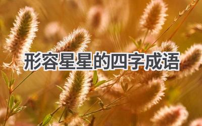 形容星星的四字成语